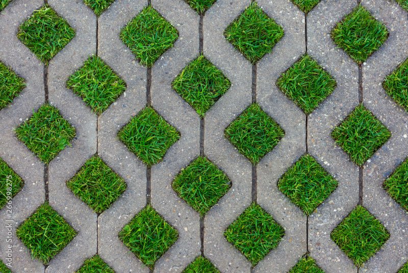 Экопарковка текстура бесшовная