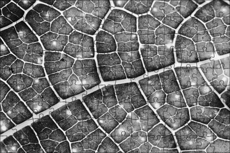 Природные фактуры