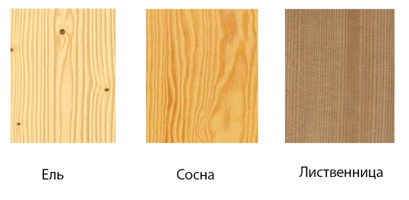 Разница древесины лиственница сосна кедр ель