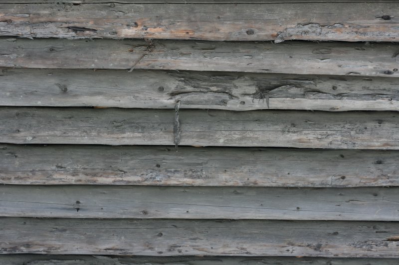 Кело дерево