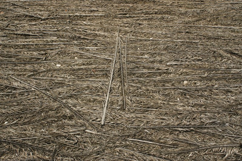 Солома текстура