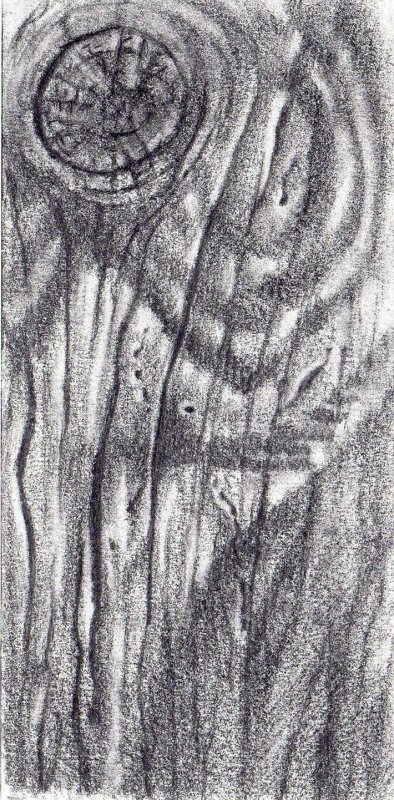 Фактура дерева карандашом