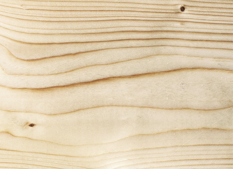 Фактура дерева