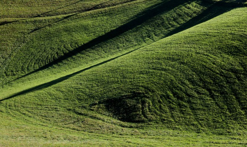 Поле вид сверху