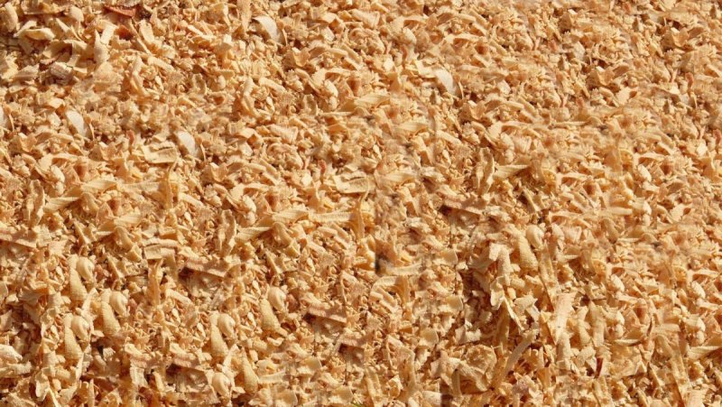 Стружка древесная