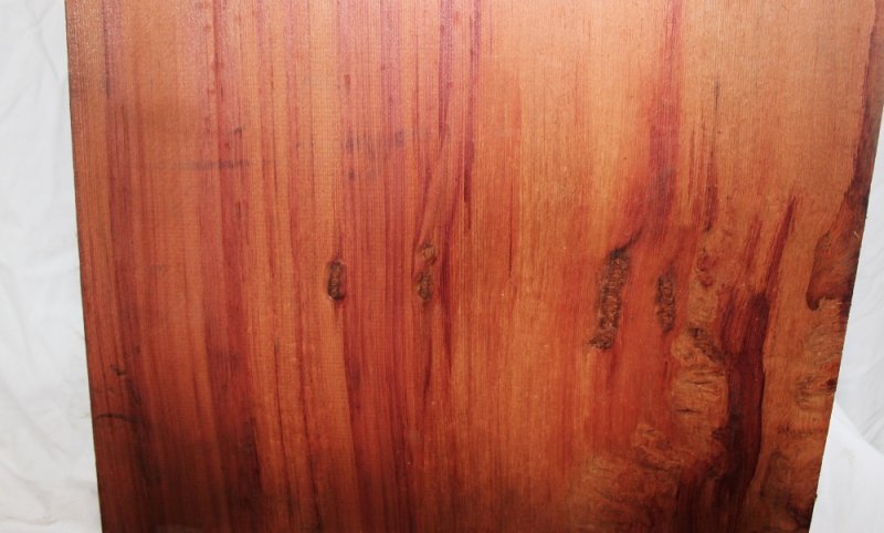 Текстура древесины боярышника