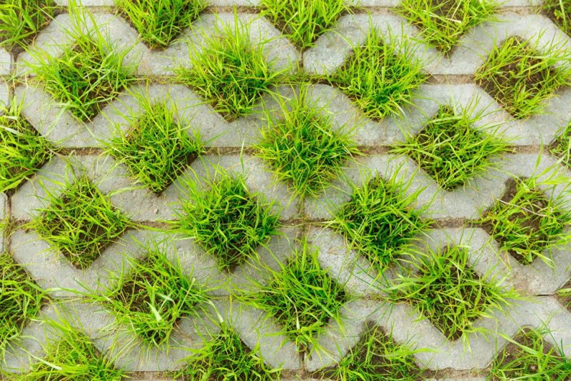 Георешетка газонная (экопарковка)