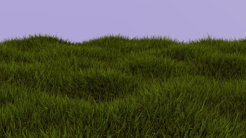 Текстура травы
