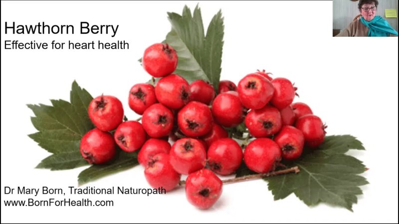 Дулана Дулана