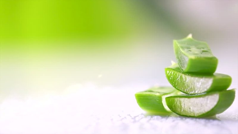 Алоэ Вера Aloe Vera