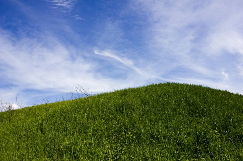 Холм с травой