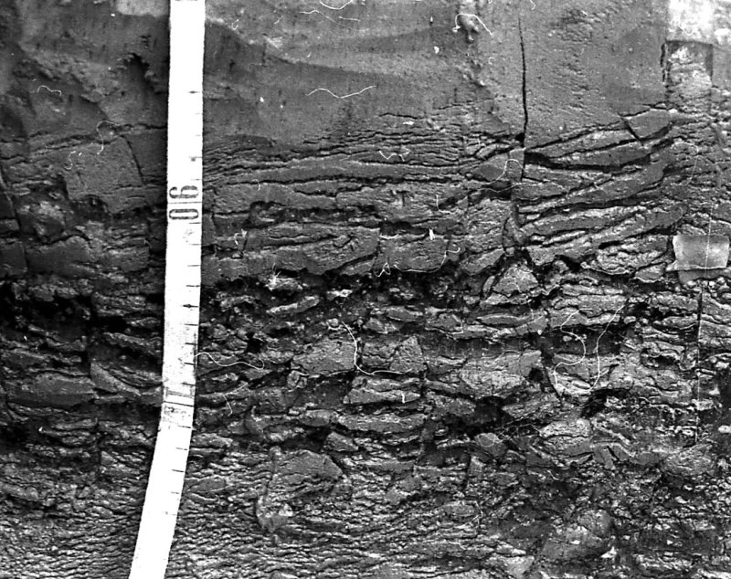 Слоистая криотекстура