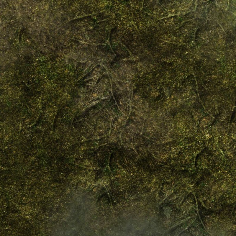 Текстура ландшафта