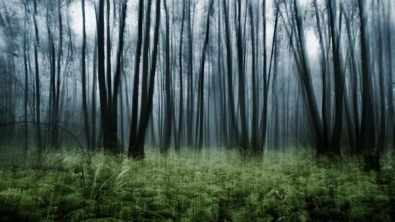 Природные текстуры