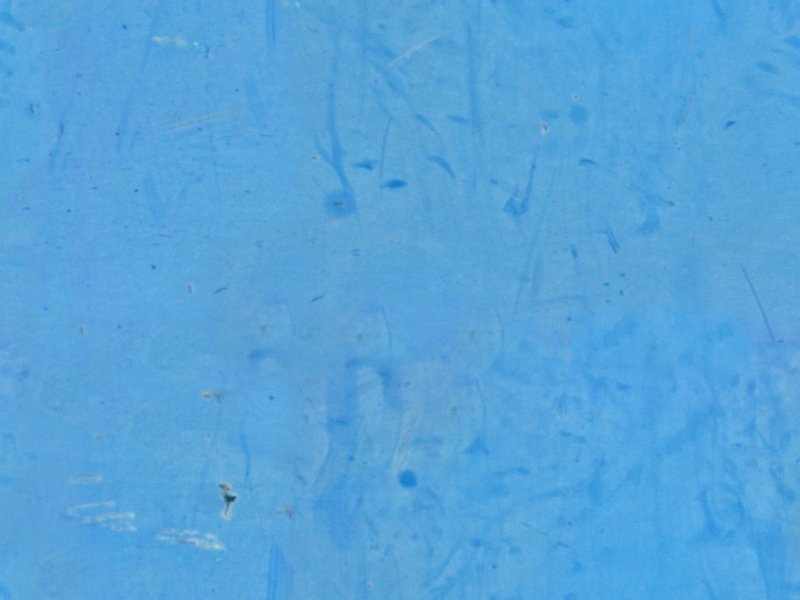 Текстура старого пластика