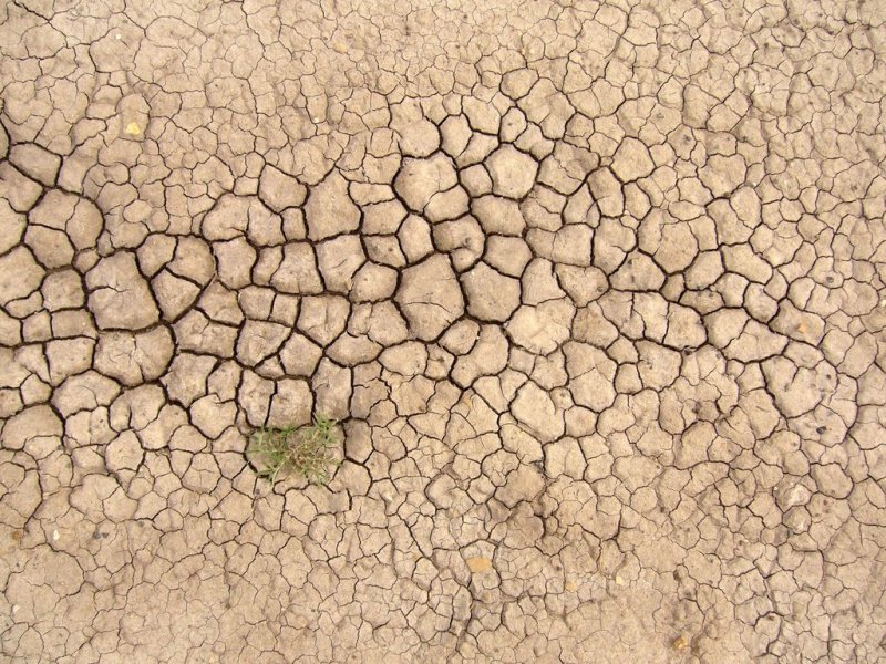 Текстура земли