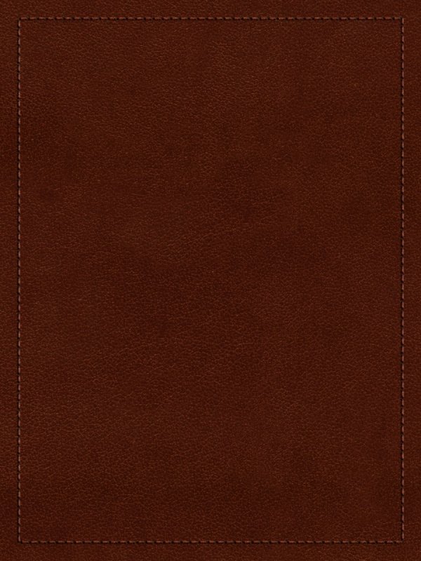 Коричневая кожа