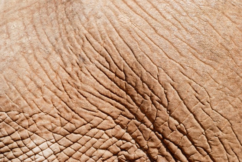 Текстура человеческой кожи