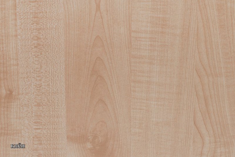 Цвет клен танзай