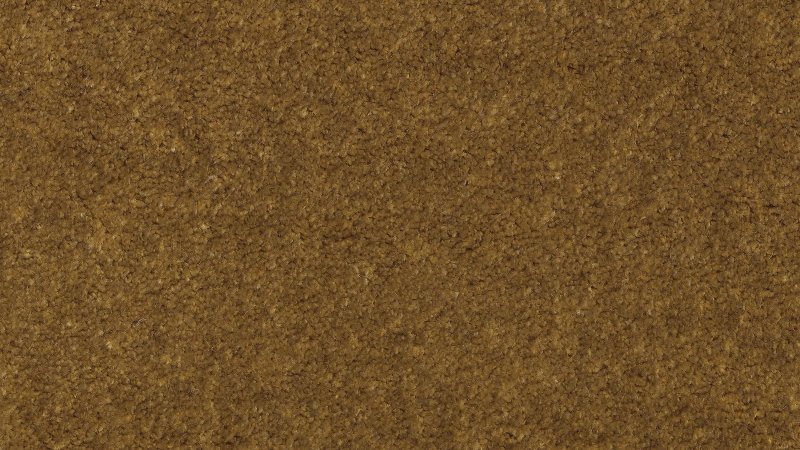 Пробковое дерево текстура бесшовная