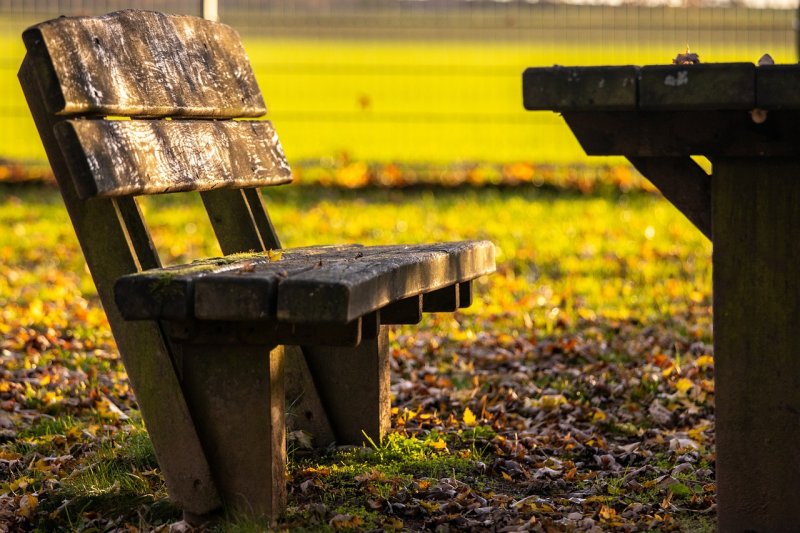 Лавочка в парке