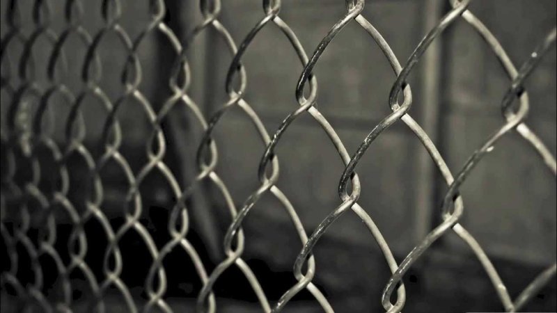 Сетка рабица 60*60*3 2000*6000