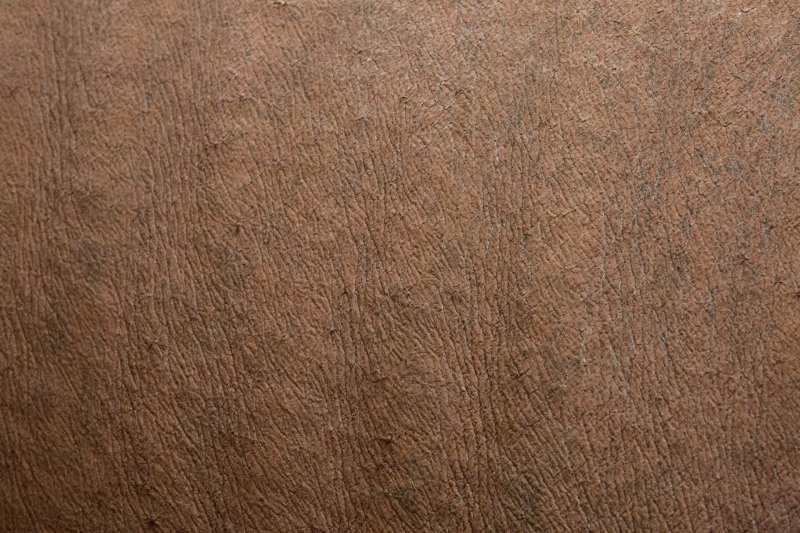 Текстура кожи бесшовная