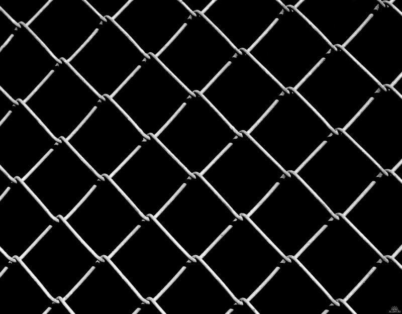 Сетка рабица 35*35*1,4мм ш. 1,5м дл 10м