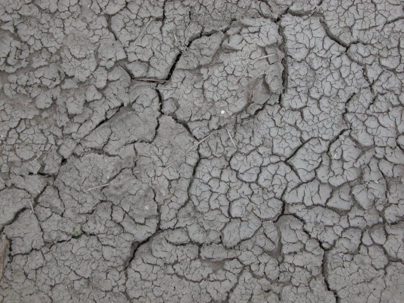 Фактура трещины