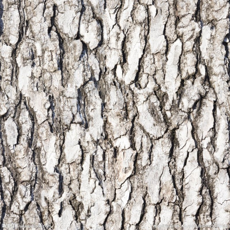 Альфа коры дерева