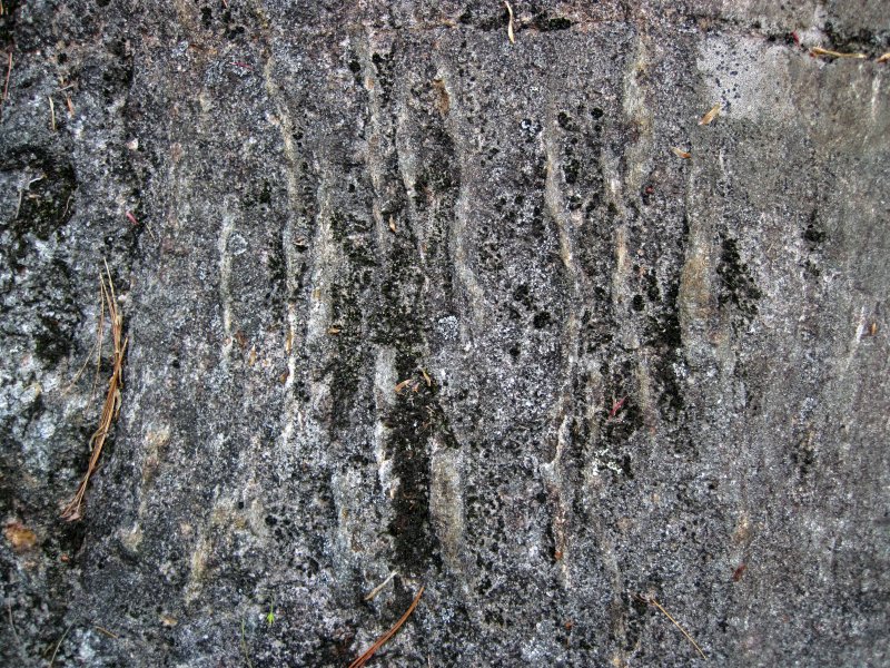 Плойчатая текстура