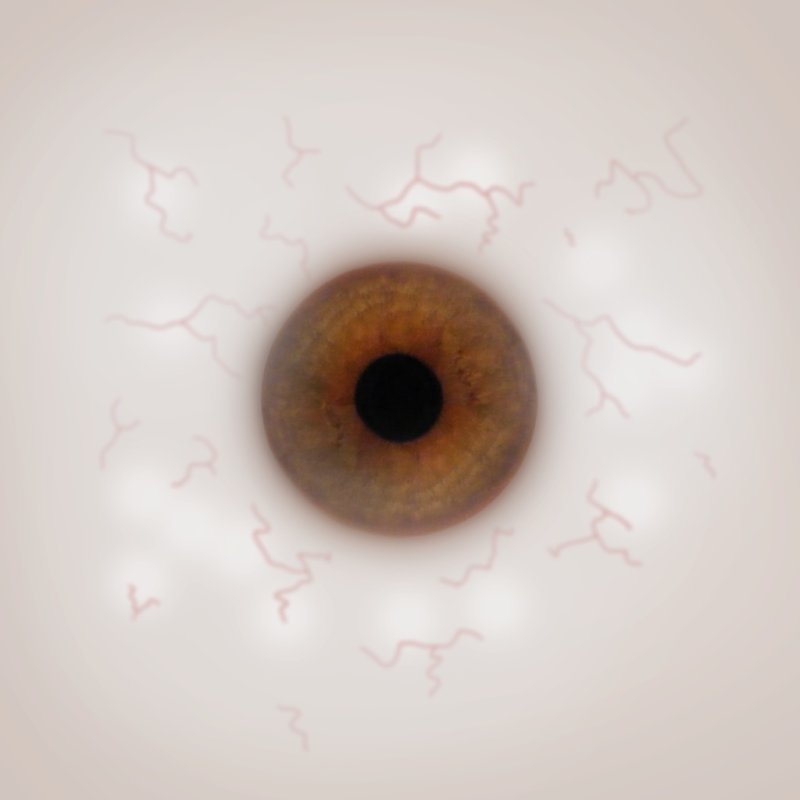 Текстура глазного яблока