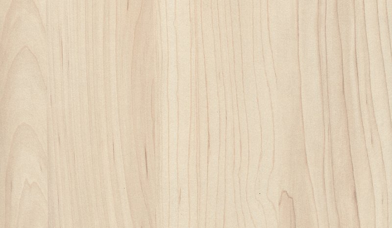 H3860 st9 клен сахарный шампань