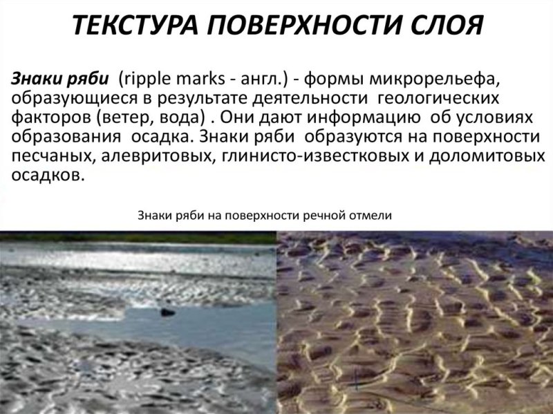 Рябь волнения