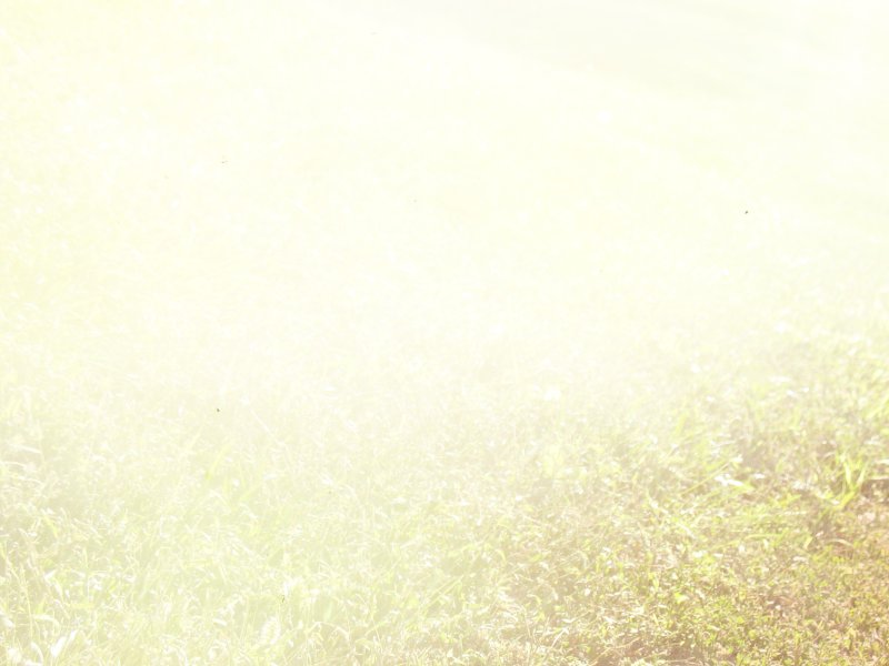 Текстура лето