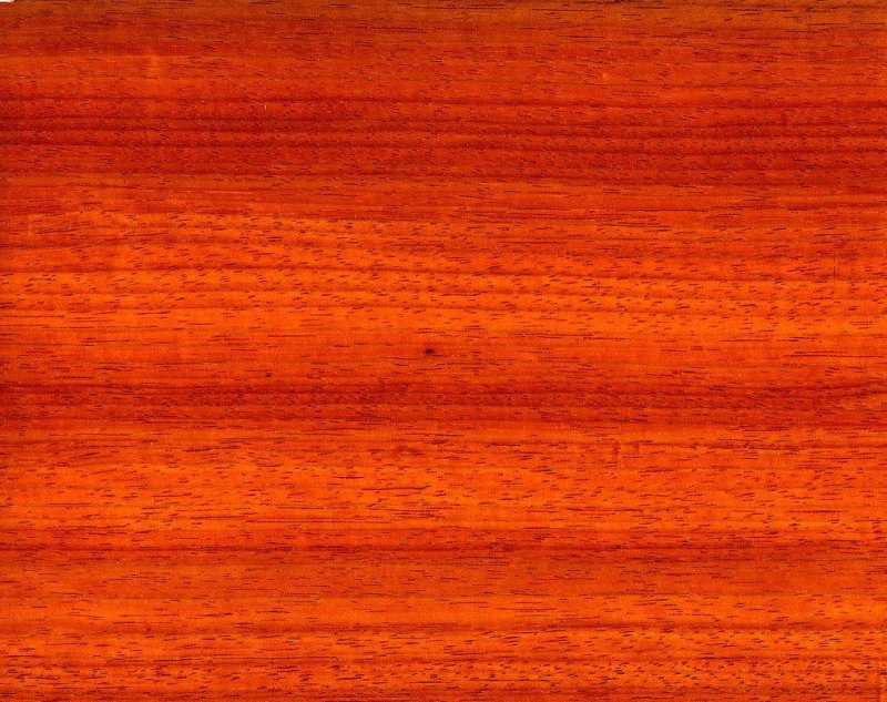 Древесина красное дерево красный Падук