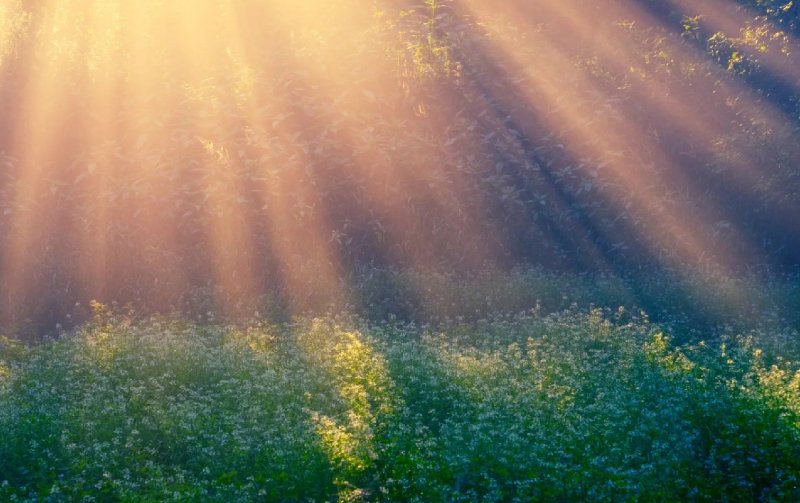 Природа солнце