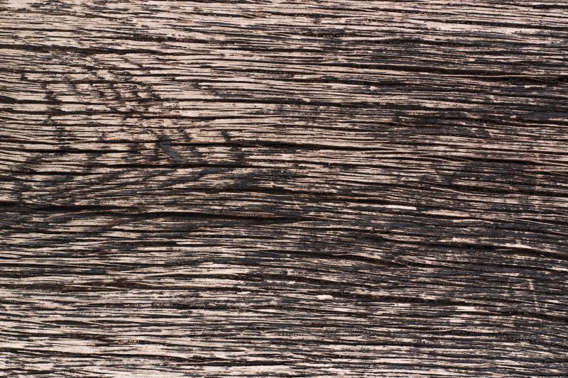 Эбеновое дерево 3ds Max