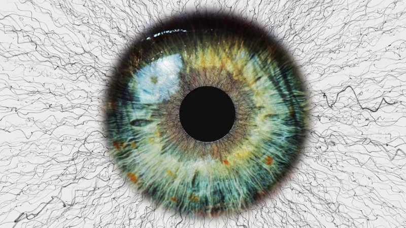 Текстура глаза