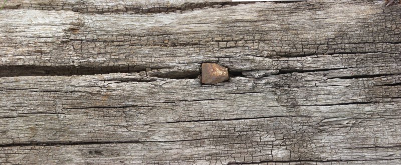 Фактура необработанного дерева