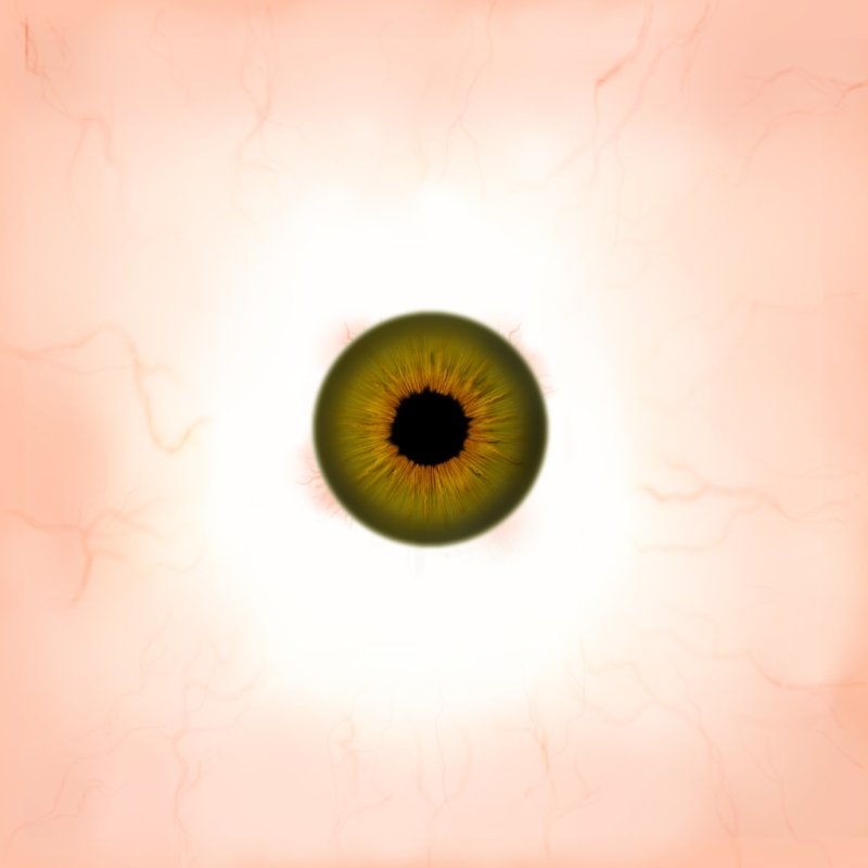 Глаз развертка