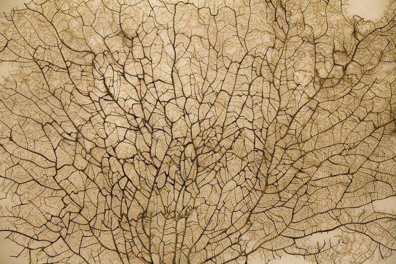 Природные фактуры