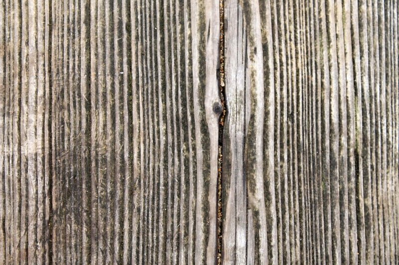 Волокна дерева текстура