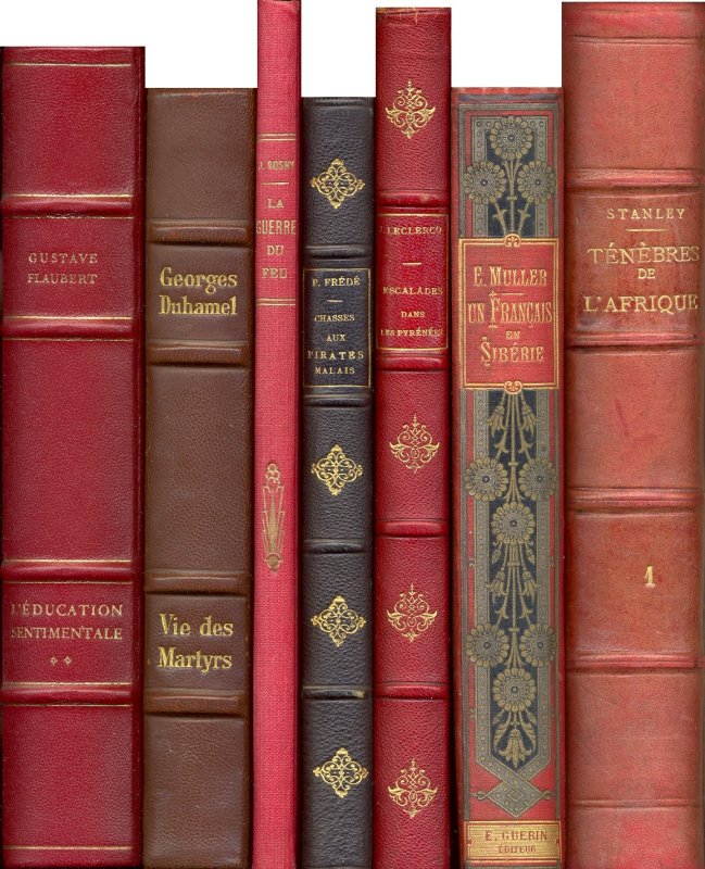 Красивые корешки книг