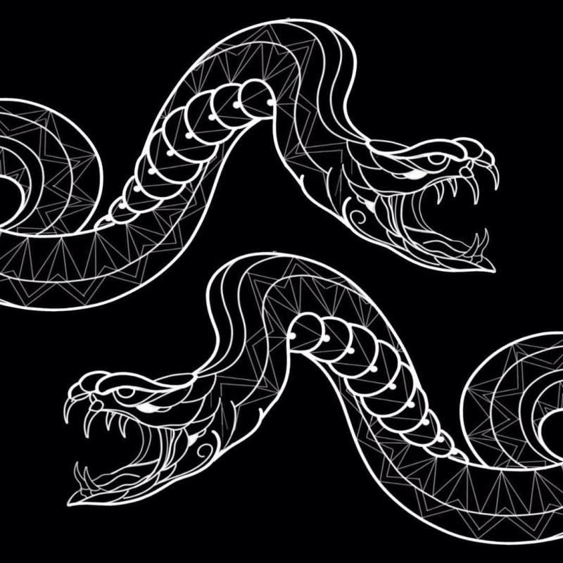 Стилизация змеи