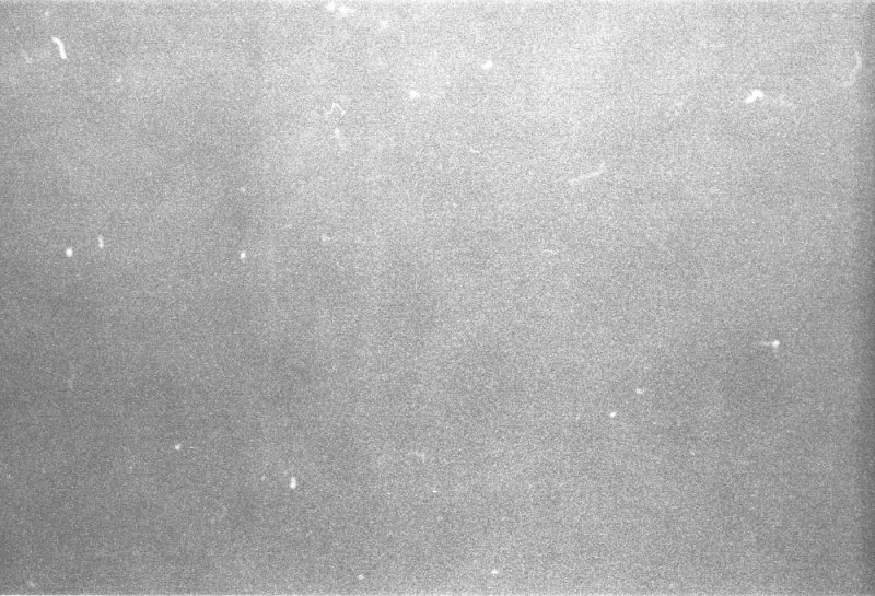 Скан пленочного зерна Ilford Delta 400pr