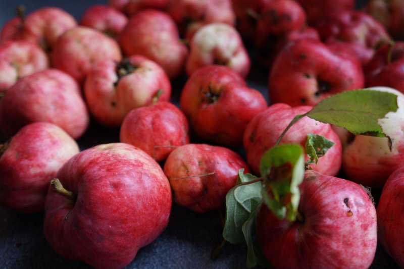 Цвет бабушкины яблоки