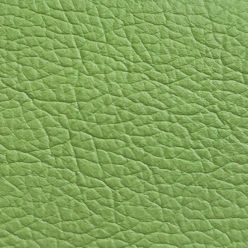 Текстура кожи