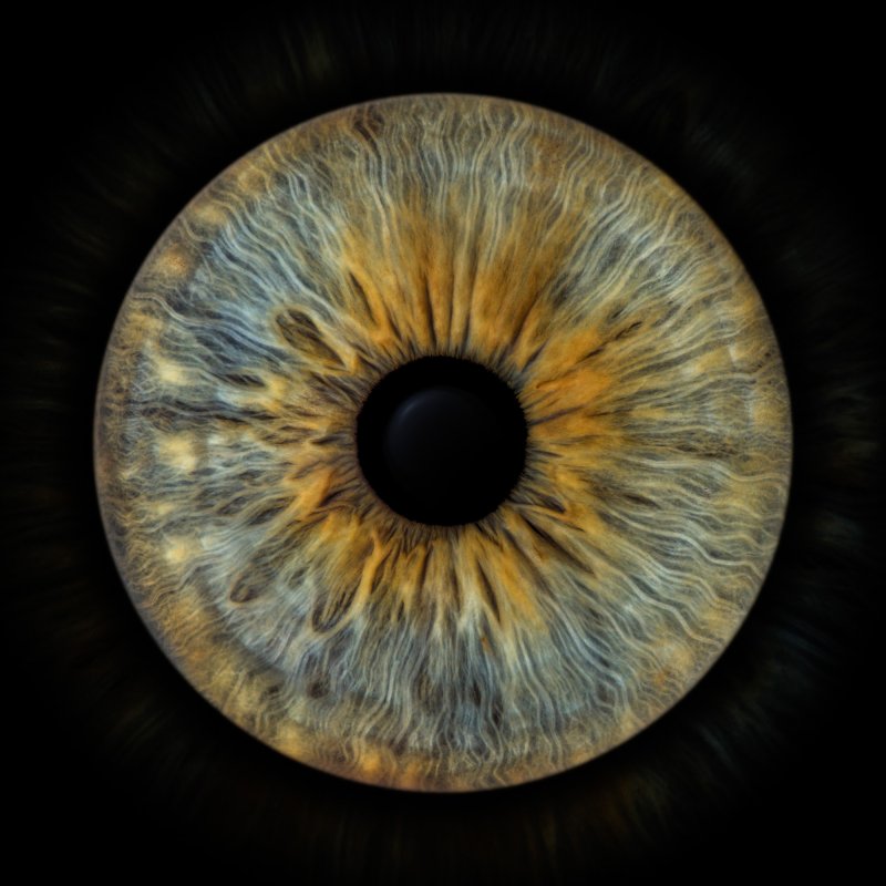 Красивые Радужки глаз