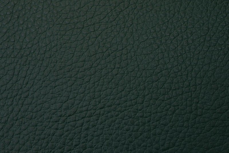 Текстура кожи